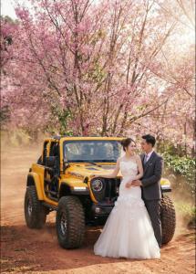 Chụp Hình Cưới Đà Lạt Mùa Mai Anh Đào 2026: Top 4 Địa Điểm & Bí Kíp "Sống Còn"